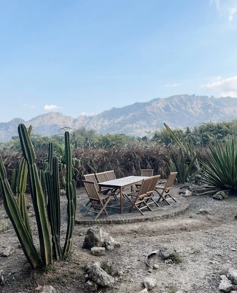 Nalendro Garden Bodobudur, Cafe Konsep Garden di Magelang dengan Nuansa Arizona di Tengah Hamparan Pegunungan Menoreh