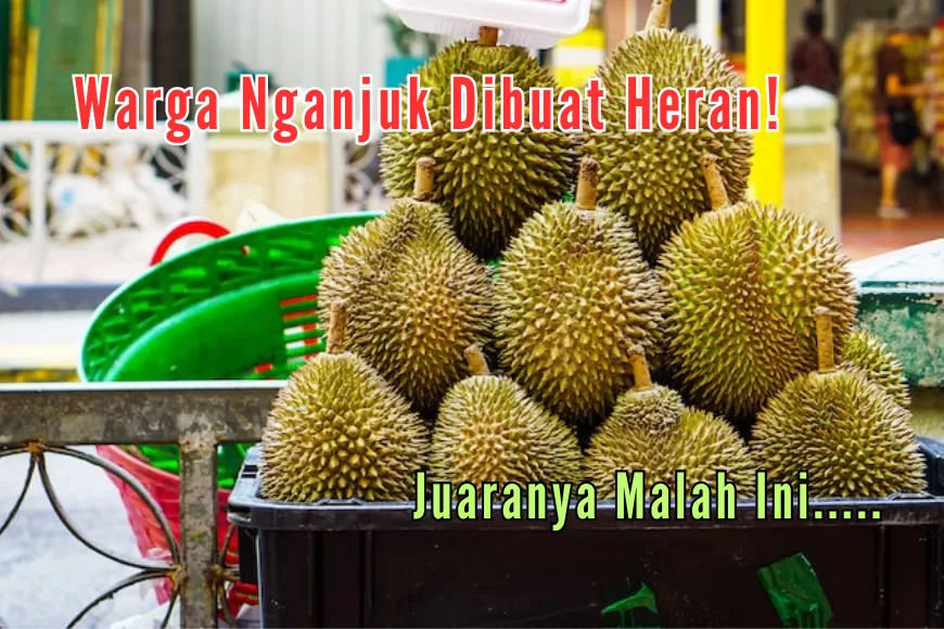 3 Kecamatan Penghasil Durian Terbesar di Kabupaten Nganjuk: Gak Nyangka Juaranya Bukan Sawahan, Malah...
