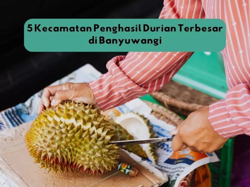 5 Kecamatan Penghasil Durian Terbesar di Banyuwangi, Jawa Timur: Juaranya Bukan Srono Atau Giri tapi...