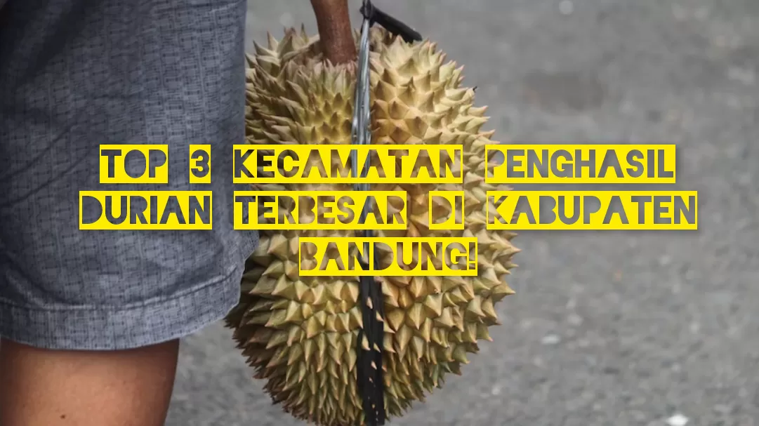 TOP 3 Kecamatan Penghasil Durian Terbesar di Kabupaten Bandung: Dikira Juaranya Soreang, Justru Malah...