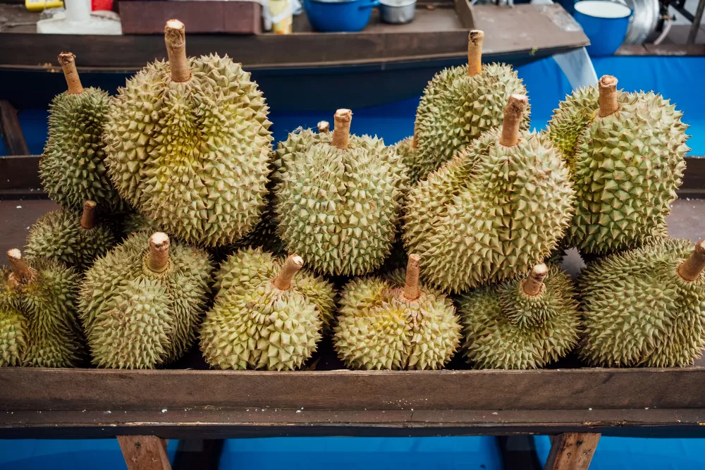 5 Daerah Penghasil Durian Terbesar di Muara Enim, Sumatera Selatan: Nomor 1 Bukan Ujan Mas atau Lubai Ulu, Tapi...