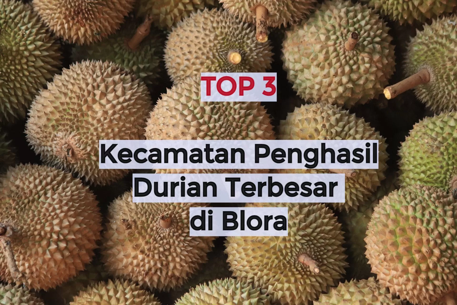 3 Kecamatan Penghasil Durian Terbesar di Kabupaten Blora, Warga Mengira Juara Satu Japah, padahal...