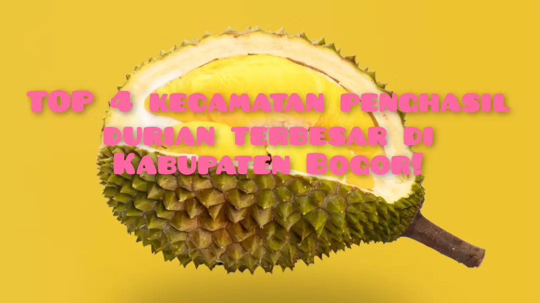 Panen hingga 128 Ribu Kw, Ini 4 Kecamatan Penghasil Durian Terbesar di Kabupaten Bogor: Juaranya Bukan Sukajaya Apalagi Rumpin, tapi...