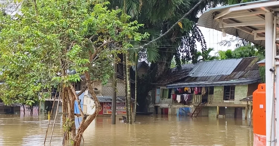 Dua Hari Hujan Deras di Aceh Tamiang, Puluhan Rumah Warga Terendam Banjir, Masyarakat Diminta Tetap Waspada