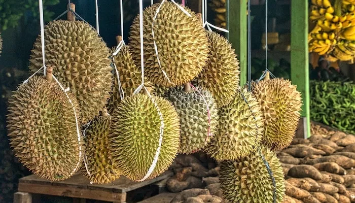 5 Kecamatan Penghasil Durian Terbesar di Kabupaten Kendal, Juaranya Bukan Patean, tapi Justru...