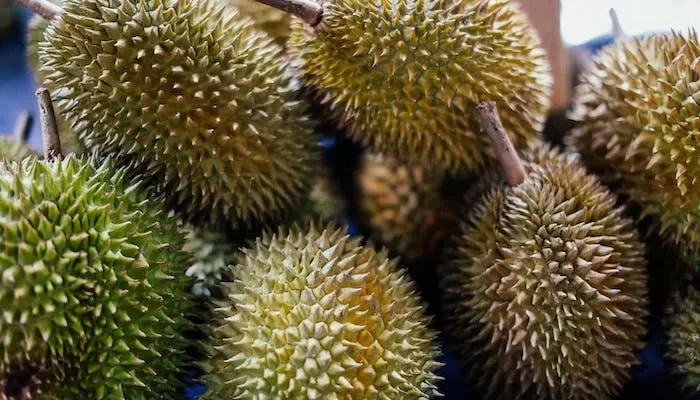 2 Kecamatan Penghasil Durian Terbesar di Kabupaten Rembang, Gak Disangka Juaranya Bukan Sedan, tapi...