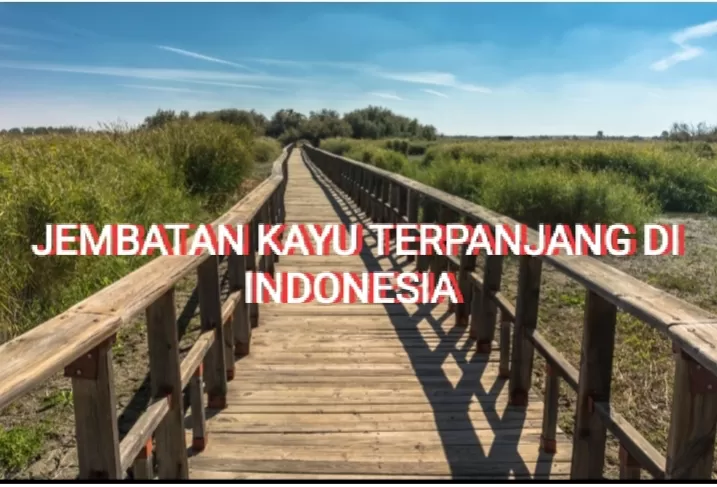 Habiskan Dana Rp8 Miliar! Jembatan Kayu Terpanjang di Indonesia Dibangun di Dalam Hutan untuk Melihat Burung Cenderawasih, Panjangnya...