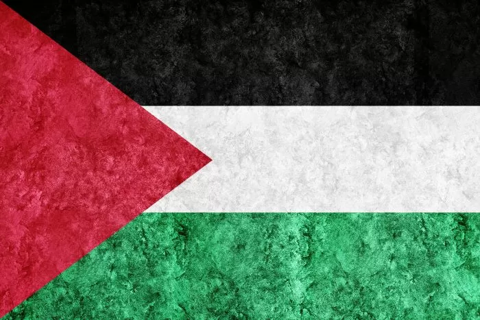 Palestina: Perjalanan Sejarah dan Realitas Kontemporer Dan Mendunia