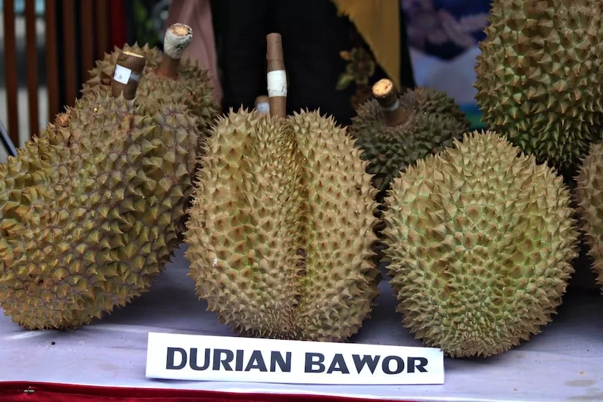 Top 3 Daerah Penghasil Durian Terbesar di Kabupaten Pekalongan, Warga Mengira ada Kecamatan Lebakbarang tapi Juaranya?