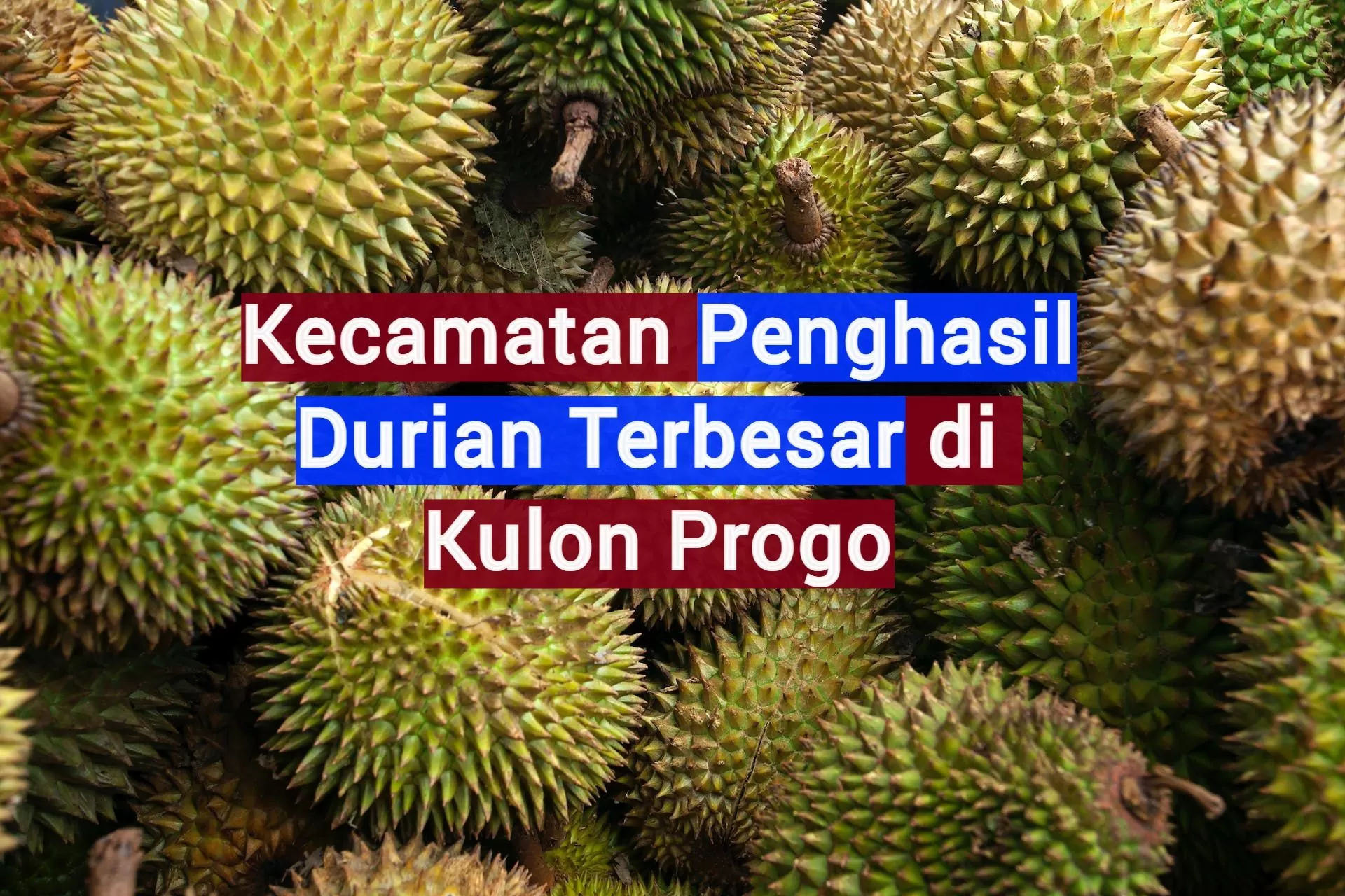 3 Kecamatan Penghasil Durian Terbesar di Kabupaten Kulon Progo, Gak Disangka Nomor 1 Bukan Samigaluh, tapi...