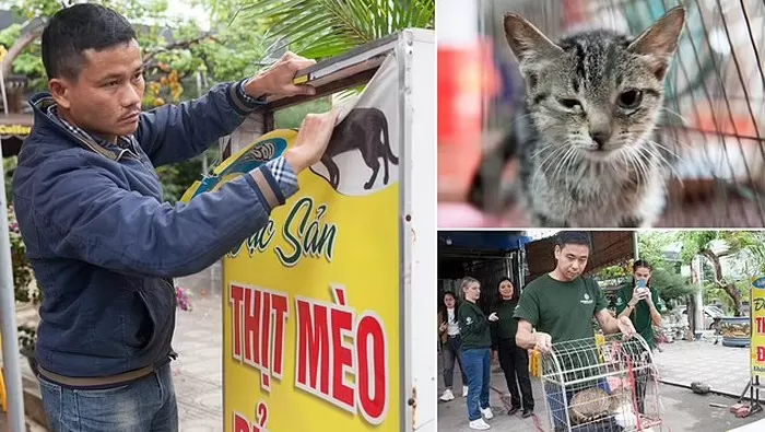 Pemiliknya Bertaubat, Restoran Gia Bao di Vietnam yang Sajikan Daging Kucing Ditutup