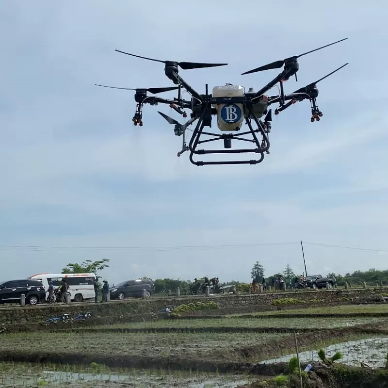Dukung GNPIP, Bank Indonesia Implementasikan Drone Pertanian