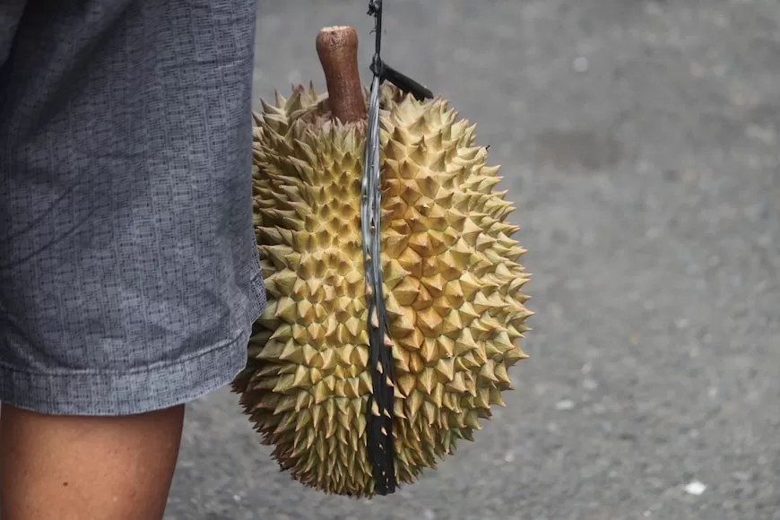 Tembus di Atas 400 Ribu Ton! Ternyata Provinsi Ini yang Jadi Penghasil Durian Terbanyak se-Indonesia: Bukan Sumatera Barat...