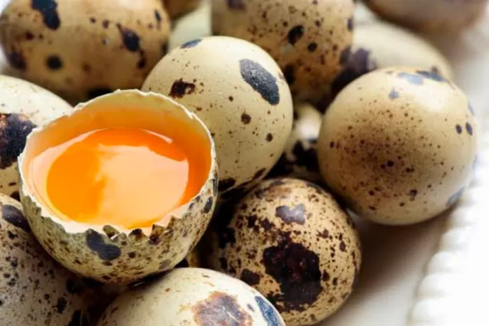 Ini 10 Manfaat Telur Puyuh Banyak Orang Tidak Tahu