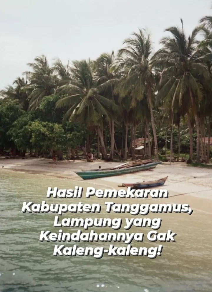 Warga Lampung Pasti Tahu, Daerah Ini Ternyata Hasil Pemekaran Kabupaten Tanggamus, Keindahannya Gak Kaleng-kaleng!
