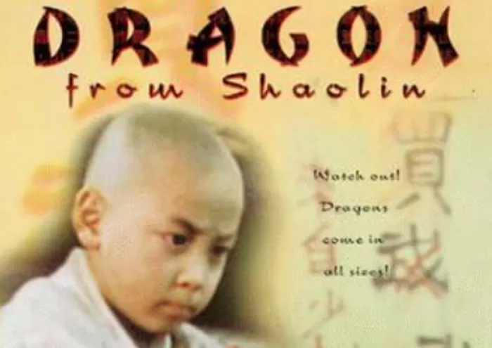 Big Movies Platinum! Sinopsis Film Dragon from Shaolin (1996), 20 Januari 2024 di GTV: Shaolin Terlibat Konflik Ketika Mencari ayahnya