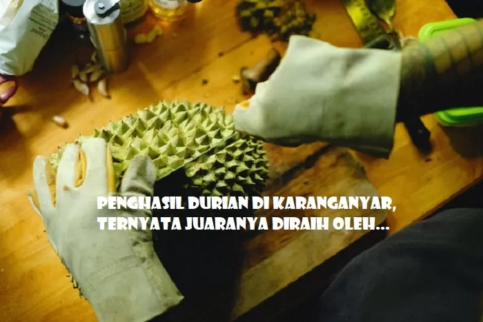 3 Daerah Penghasil Durian Terbesar di Karanganyar: Ternyata Nomor 1 Bukan Jumantono, Melainkan Diraih...