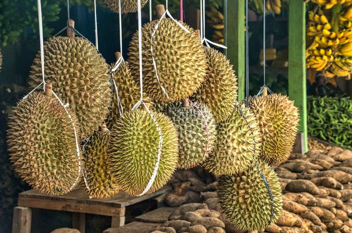 Banten Nih Bos! Punya 3 Daerah Penghasil Durian, Pemprov  Incar Pengembangan Varietas Lokal