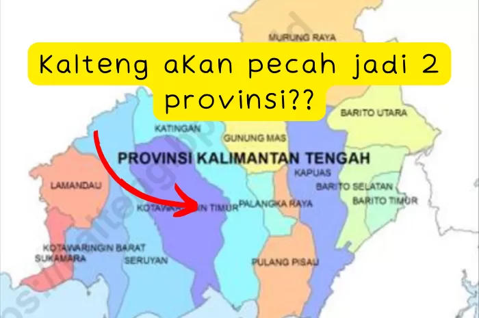 Terlalu Besar! Provinsi Seluas 153.000 Km Persegi di Pulau Kalimantan Ini Usulkan Pemekaran Jadi 2, Tujuannya...