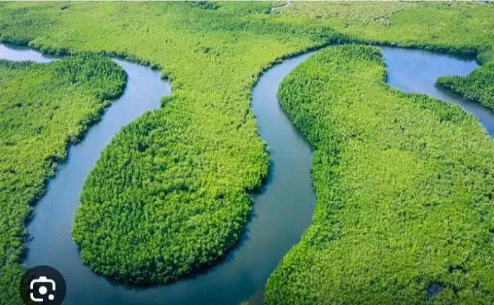 Mengenal Sungai Amazon, Sungai Terpanjang dan Terbesar di Amerika Selatan  Dengan Segala Keunikannya…