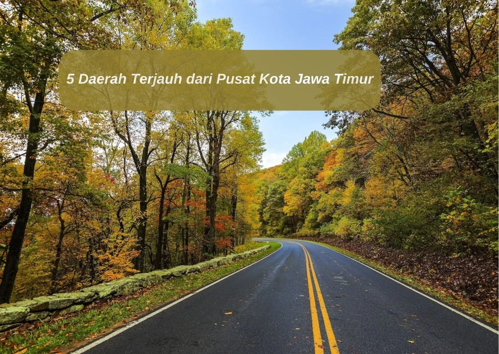 Jaraknya 211 Km! Ini 5 Daerah Terjauh dari Pusat Kota Jawa Timur: Jauh Mana antara Pacitan dengan Banyuwangi?