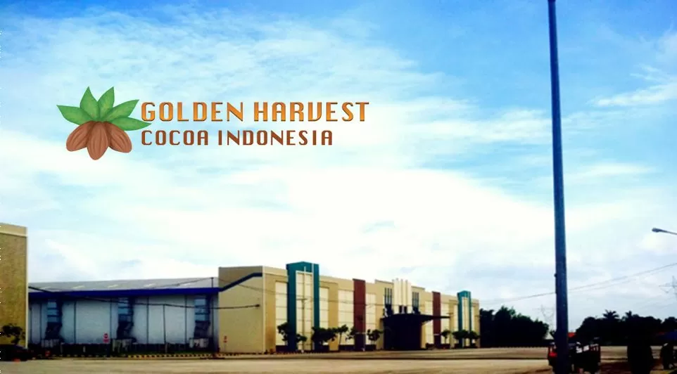 Ijazah SMA Merapat, PT Golden Harvest Cocoa Indonesia Buka Loker Serang, Begini Syaratnya!