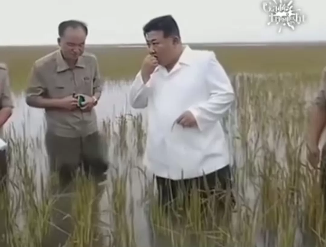 Kim Jong Un Blusukan Mantau Sawah yang Kebanjiran Cadangan Bahan Pangan Korea Utara Terancam