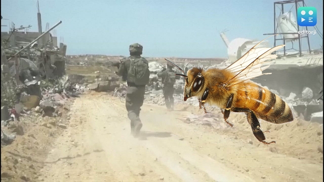 Kawanan Lebah Serang Tentara Israel di Gaza, Belasan Dirawat di RS